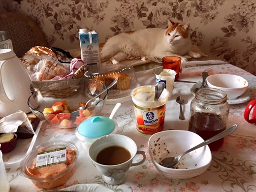 Bisquioto has it all under control