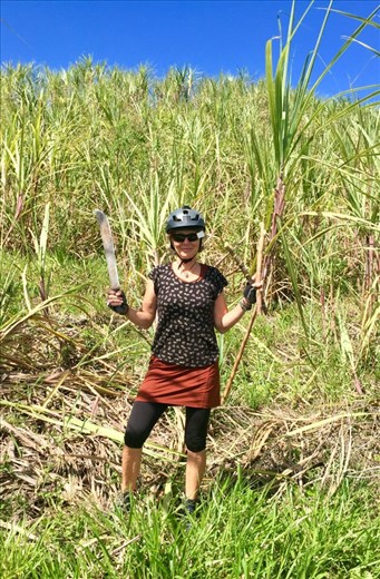 Getting my own Cana! (Sugarcane)