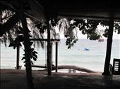 Ko Tao: by margotforrest, Views[213]