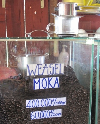 Special 'Weasel coffee