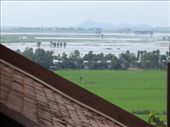 Delta, view from Pagoda: by margotforrest, Views[297]