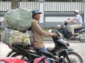Scooter transport: by margotforrest, Views[166]