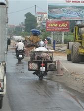 Transporting pigs: by margotforrest, Views[162]