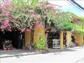 Hoi An: by margotforrest, Views[129]