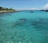 Snorkel heaven, Mun Island off Nha Trang: by margotforrest, Views[156]
