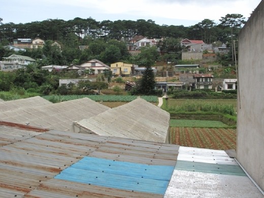 Dalat horticulture. Green houses and gardens for miles
