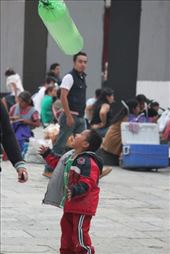 by maria_nz, Views[136]