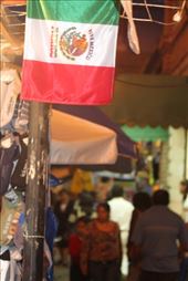 by maria_nz, Views[194]