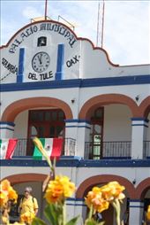 by maria_nz, Views[202]