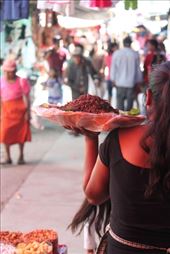 by maria_nz, Views[194]