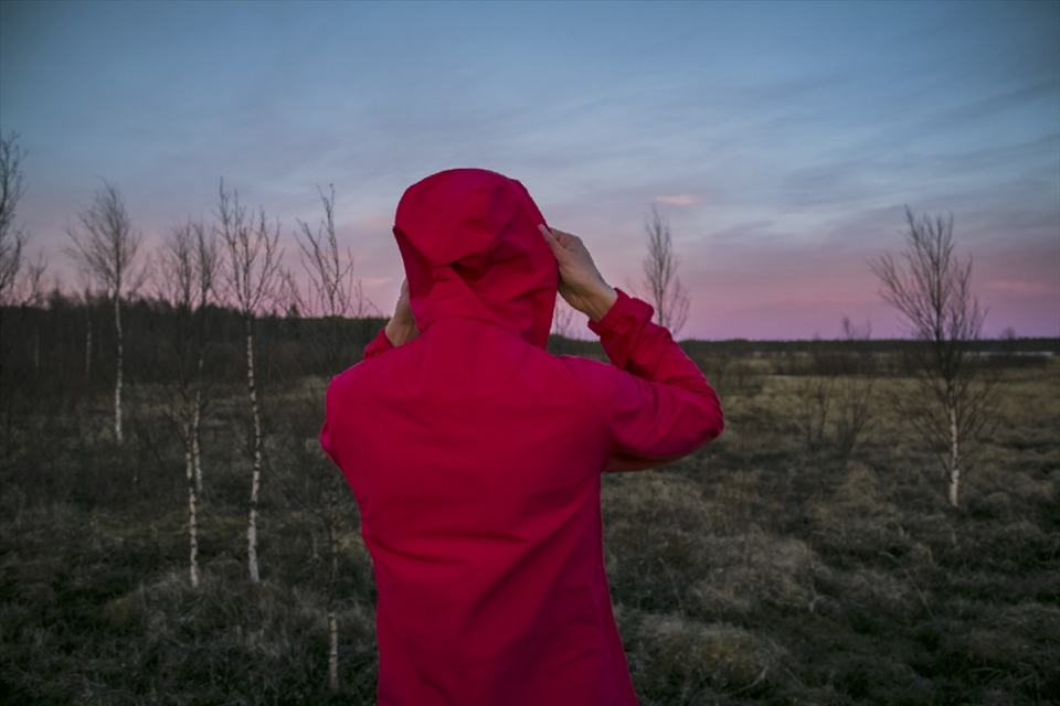 North-Eastern Finland has large areas of uninhabited wetlands. These 