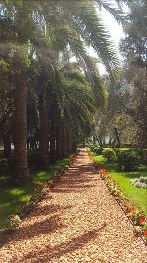 Bahai garden 