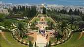 Bahai garden : by mariabuenahora, Views[456]