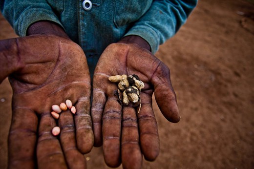 Village people sharing their meager harvest. 