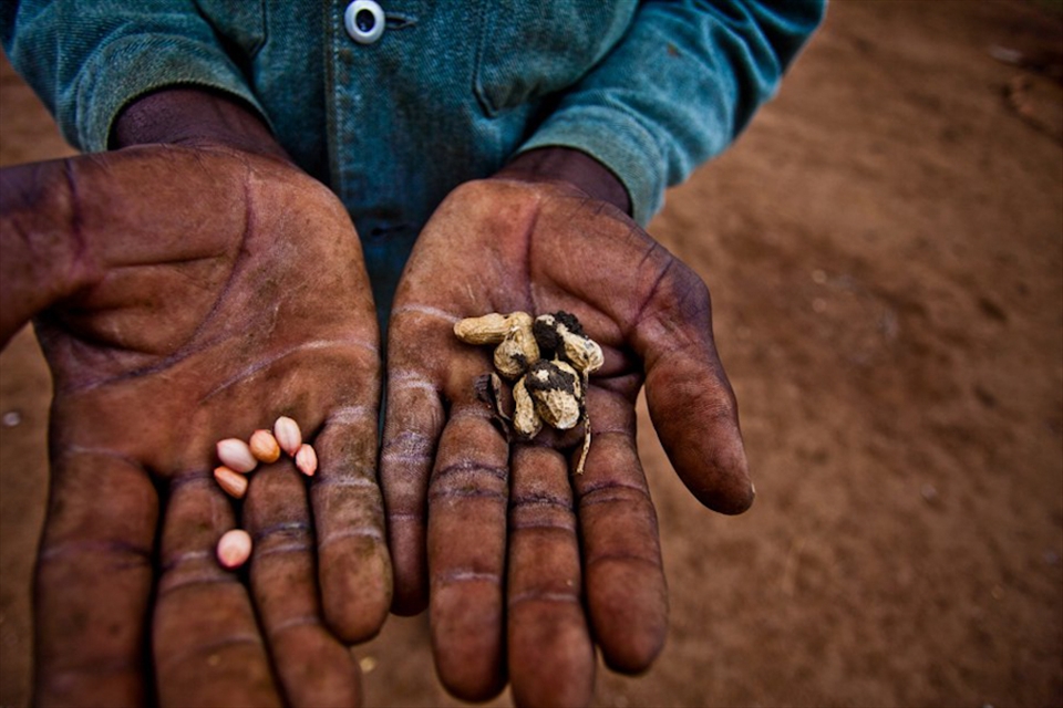 Village people sharing their meager harvest. 