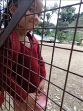 shyama- himachal school girl: by mariageorge, Views[269]