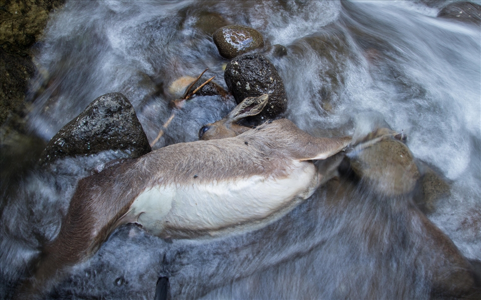 A crude reminder of the treacherous paths we travel. 