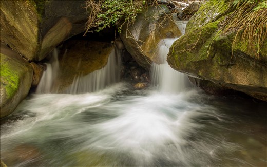 The crystal clear water roared in the otherwise quiet forest.