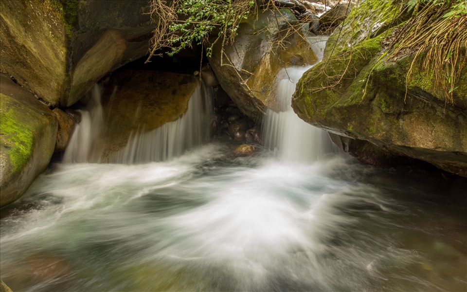 The crystal clear water roared in the otherwise quiet forest.