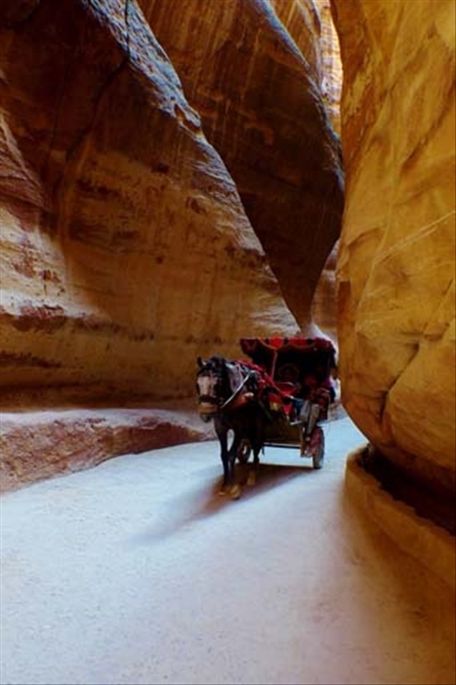 Horse drawn carriage meandering through the narrow gorges of the Siq