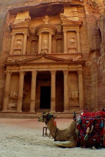A camel lounging in front of one of the most recognizable ruins in the world
