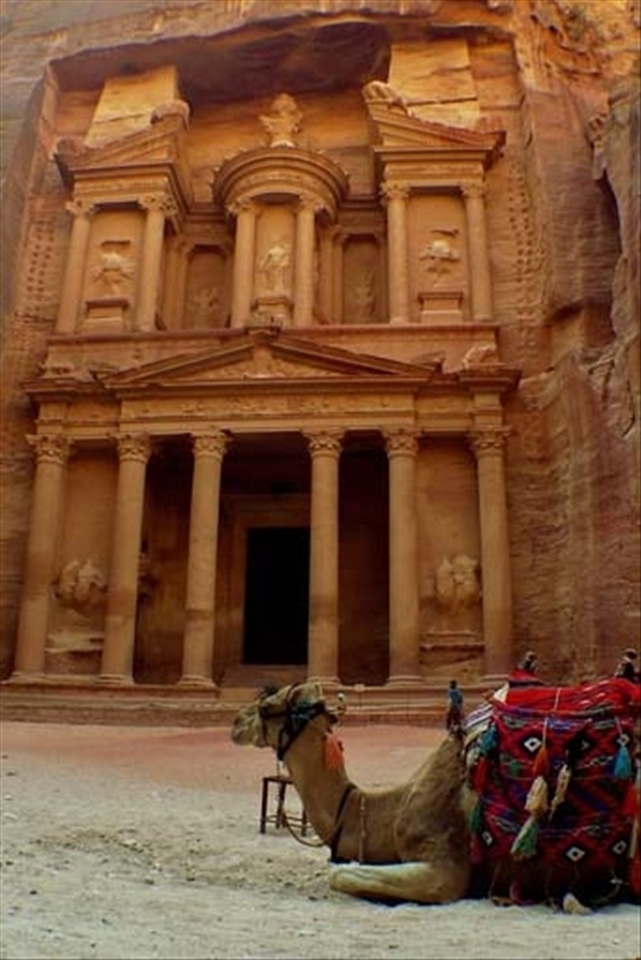 A camel lounging in front of one of the most recognizable ruins in the world
