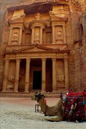 A camel lounging in front of one of the most recognizable ruins in the world: by mariaprecioso, Views[269]