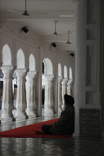 Exploring the peace within