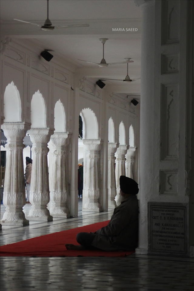 Exploring the peace within