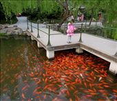 A young girl feeds a school of fish in a secluded park in Hangzhou, just a short walk from the busy downtown area. : by marietornquist, Views[345]
