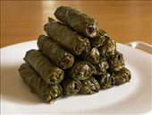 by mariha, Views[285]