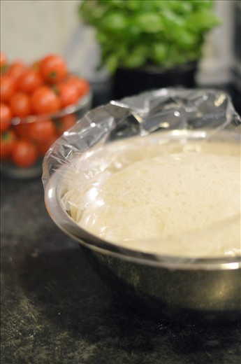 Cover the dough with plastic and leave in a warm place to double in size.