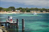 Rottnest Island is located 19km off the coast from Fremantle, Western Australia.   Breathtaking beaches, sheltered anchorages and abundant wildlife make Rottnest Island a popular tourist resort.: by marillion38, Views[797]