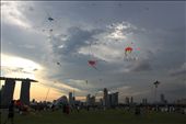 A sky full of kites. Roof garden on top of Marina barrage, during weekend many people gather here for picnic, enjoy the city skyline, and its location near the sea, constant wind,  a perfect place to play kite and have fun. 
 
: by marinabarragesingapore, Views[1414]