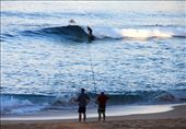 Catching the waves, catching the fish, catching the photo: by mariya, Views[212]