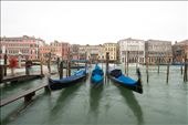 The rain is pouring as more and more gondolas are left on their binding post.: by marko_marinkovic, Views[144]