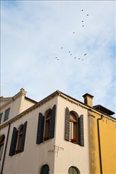 When the sun comes out it doesn't last a moment too long, but it looks beautiful: by marko_marinkovic, Views[254]