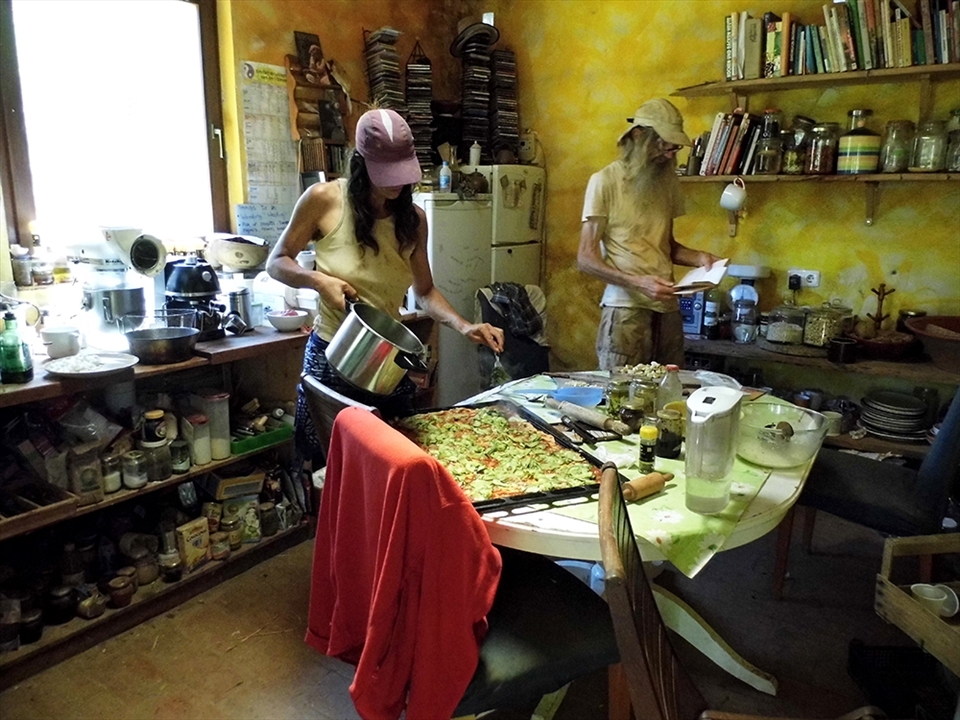 A real home made out-of-this world delicious pie- vegetarian. ( all ingredients freshly picked from our host's pesticide free garden.)