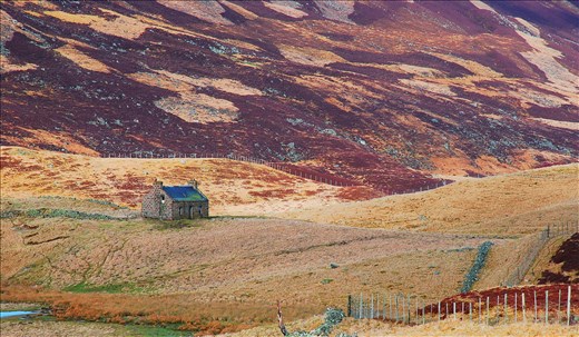 The Earth, our home and our house. The cultural and natural aspect does interesting relationship in Scottish land. I can feel safe and cozy in this country even it is not my motherland.