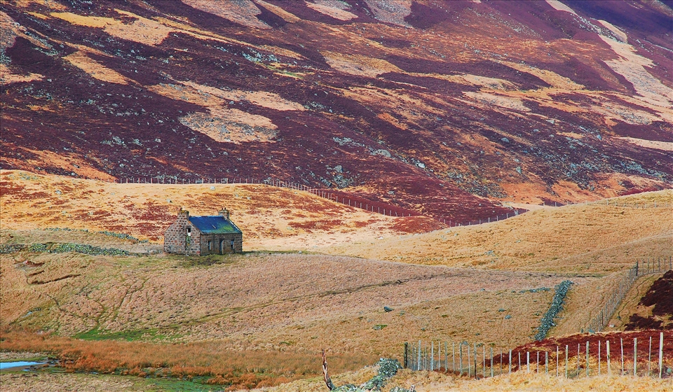 The Earth, our home and our house. The cultural and natural aspect does interesting relationship in Scottish land. I can feel safe and cozy in this country even it is not my motherland.