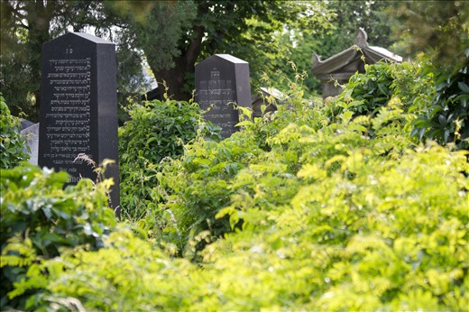 The old Jewish cemetery is part of the Central Cemetery of Vienna. It was built in 1877, at a time when Vienna was one of the biggest centers of Jewish culture in Europe.