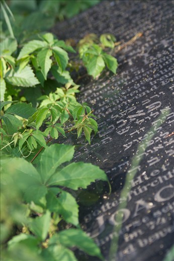 The members of this Jewish community were very often well-respected people, intellectuals or doctors.