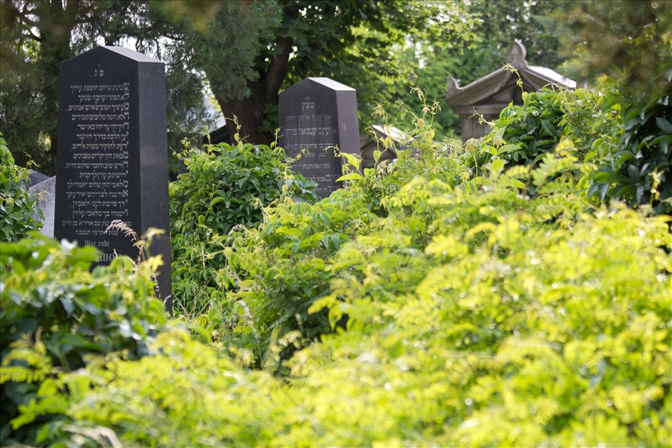 The old Jewish cemetery is part of the Central Cemetery of Vienna. It was built in 1877, at a time when Vienna was one of the biggest centers of Jewish culture in Europe.