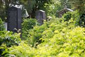 The old Jewish cemetery is part of the Central Cemetery of Vienna. It was built in 1877, at a time when Vienna was one of the biggest centers of Jewish culture in Europe.: by martaeng, Views[426]