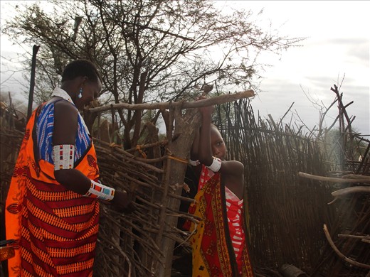 1.	In the Maasai community, it's the women who construct houses.