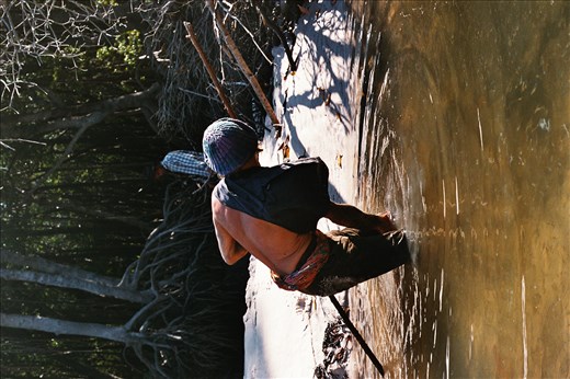 Fishing crabs for breakfast 