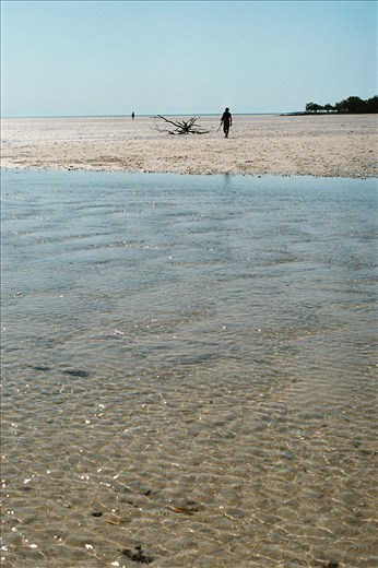 Walking back with the high tide