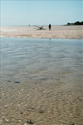 Walking back with the high tide: by martina_polimeni, Views[617]