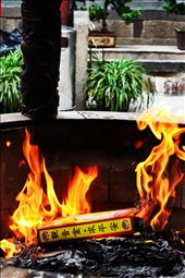 the spirituality that nurishes hopes, joys and pains: by martinacarola, Views[243]