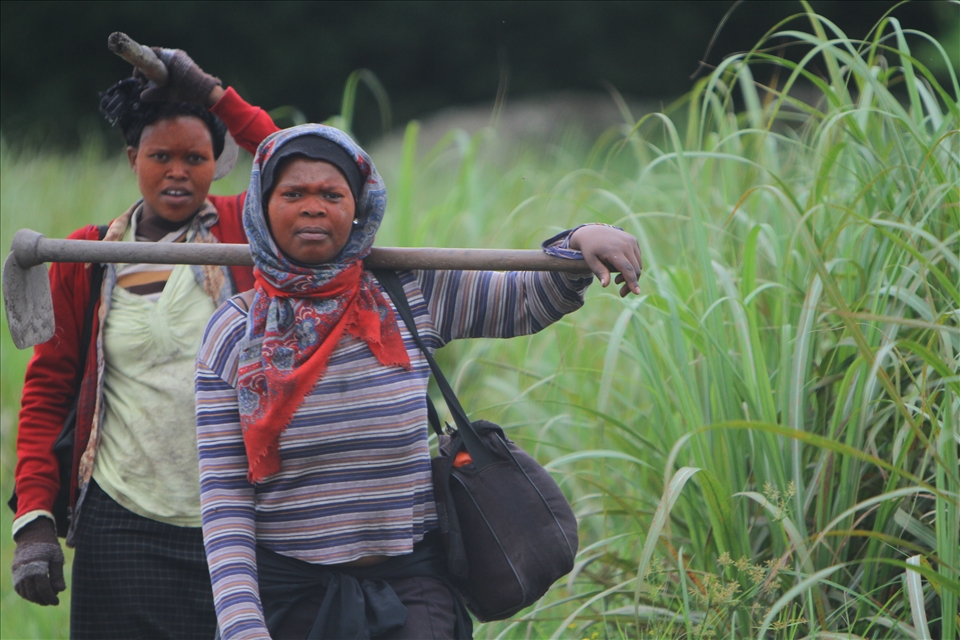 Two female sugar cane field workers returning home after a hard days work.